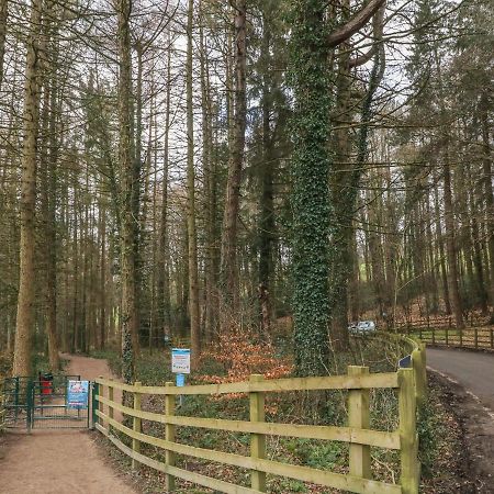 Chestnut Cottage Sheffield Ngoại thất bức ảnh