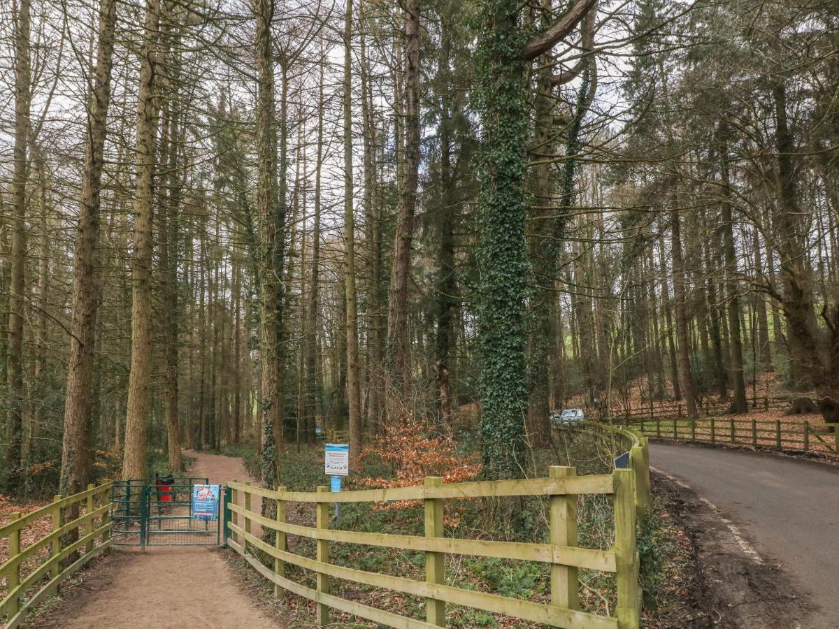 Chestnut Cottage Sheffield Ngoại thất bức ảnh